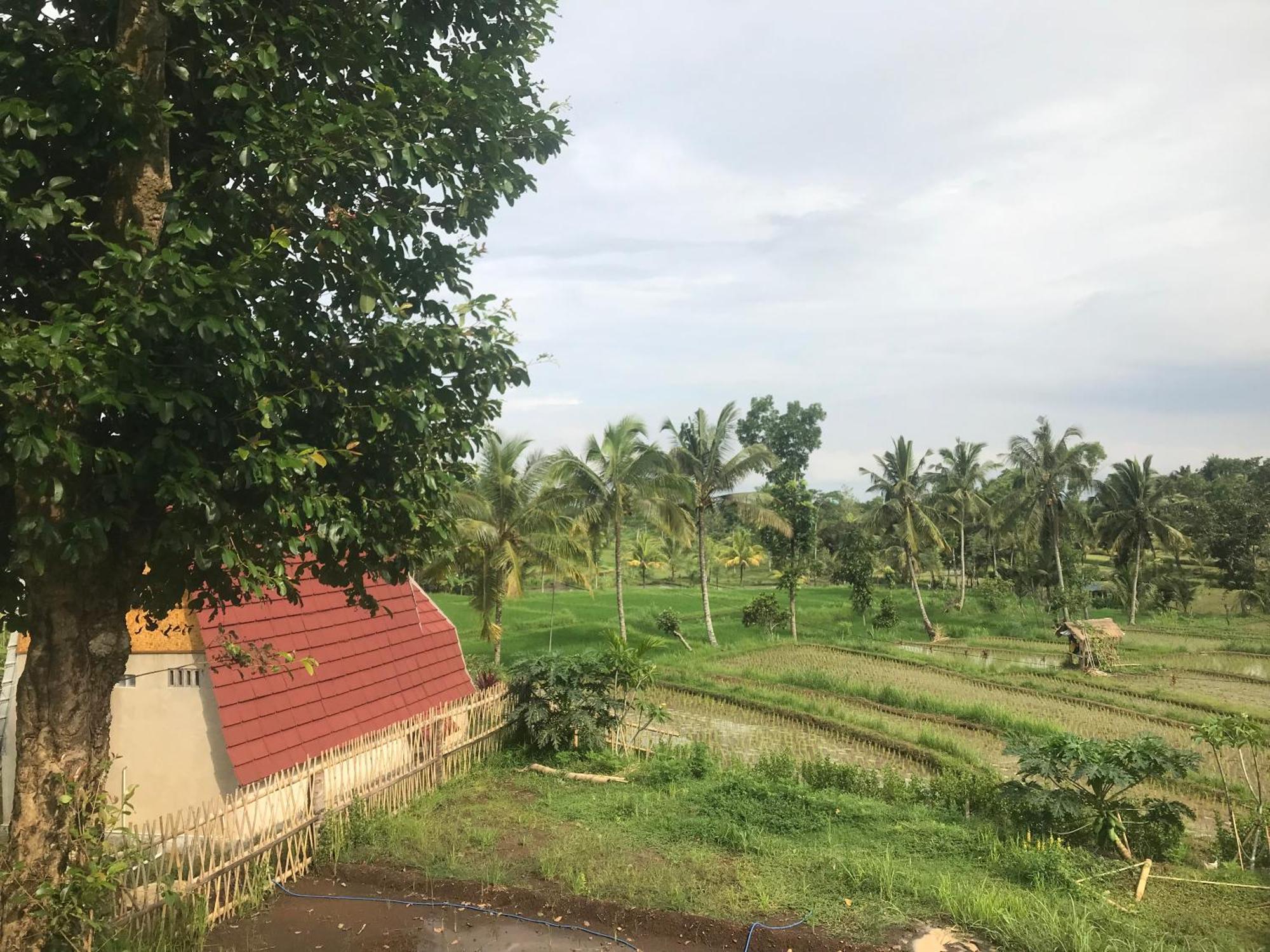 Bello Bungalow Batukliang Exterior photo